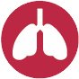 lungs icon