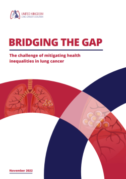 Bridging the Gap front cover